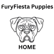 furyfiestabulldogs.com